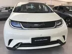 BYD Dolphin Mini - Miniatura 3