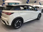 BYD Dolphin Mini - Miniatura 4