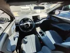 BYD Dolphin Mini - Miniatura 4