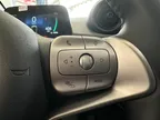 BYD Dolphin Mini - Miniatura 14