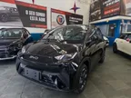 BYD Dolphin Mini - Miniatura 3