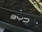 BYD Dolphin Mini - Miniatura 14