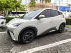 BYD Dolphin Mini - Miniatura 2