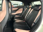 BYD Dolphin Mini - Miniatura 13