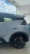 BYD Dolphin Mini - Miniatura 8