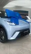BYD Dolphin Mini - Miniatura 9