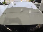 BYD Dolphin Mini - Miniatura 5