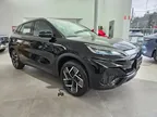 BYD T3