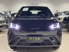 BYD Dolphin Mini - Miniatura 4