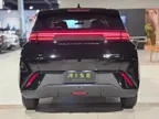 BYD Dolphin Mini - Miniatura 7