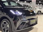 BYD Dolphin Mini - Miniatura 14