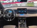 BYD Yuan Plus - Miniatura 10
