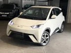 BYD Dolphin Mini - Miniatura 1