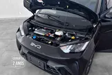 BYD Dolphin Mini - Miniatura 6