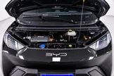 BYD Dolphin Mini - Miniatura 6
