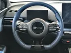 BYD Dolphin Mini - Miniatura 16