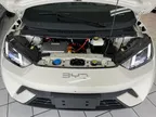 BYD Dolphin Mini - Miniatura 13
