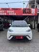 BYD Dolphin Mini - Miniatura 2