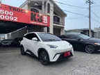 BYD Dolphin Mini - Miniatura 6
