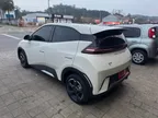 BYD Dolphin Mini - Miniatura 7
