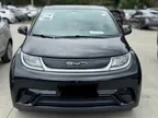 BYD Dolphin - Miniatura 1