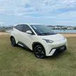 BYD Dolphin Mini