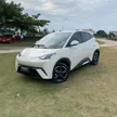BYD Dolphin Mini - Miniatura 3
