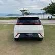 BYD Dolphin Mini - Miniatura 6