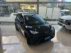 BYD Dolphin Mini - Miniatura 3