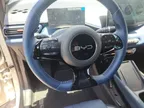 BYD Dolphin Mini - Miniatura 10
