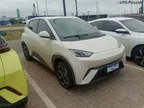 BYD Dolphin Mini - Miniatura 2
