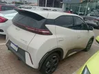 BYD Dolphin Mini - Miniatura 3