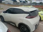 BYD Dolphin Mini - Miniatura 7