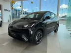 BYD Dolphin Mini - Miniatura 19