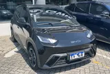 BYD Dolphin Mini - Miniatura 2