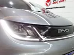 BYD Dolphin - Miniatura 3