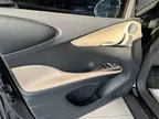 BYD Dolphin - Miniatura 14