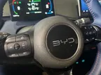 BYD Dolphin Mini - Miniatura 7