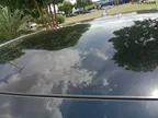 BYD Dolphin Plus - Miniatura 11