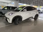 BYD Dolphin Mini - Miniatura 2