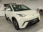 BYD Dolphin Mini - Miniatura 3