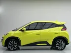 BYD Dolphin Mini - Miniatura 5