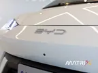 BYD Dolphin Mini - Miniatura 5