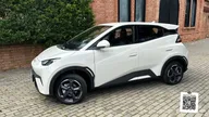 BYD Dolphin Mini - Miniatura 1
