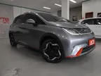 BYD Dolphin - Miniatura 2