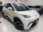 BYD Dolphin Mini - Miniatura 2