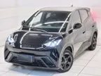 BYD Dolphin Mini - Miniatura 2