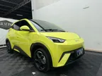 BYD Dolphin Mini - Miniatura 1