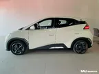 BYD Dolphin Mini - Miniatura 8