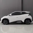 BYD Dolphin Mini - Miniatura 2